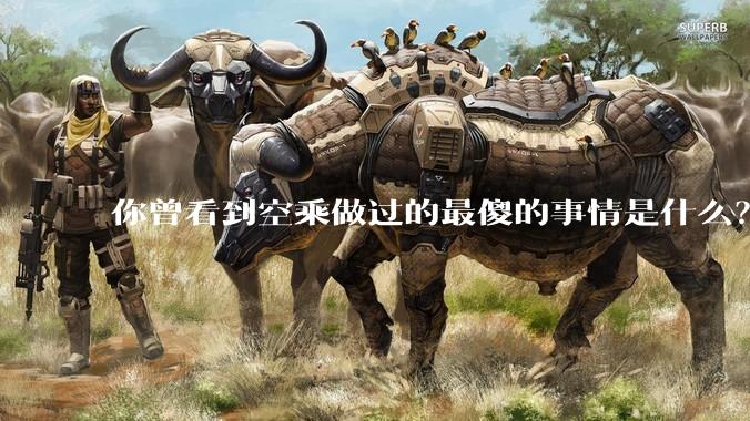 你曾看到空乘做过的最傻的事情是什么？