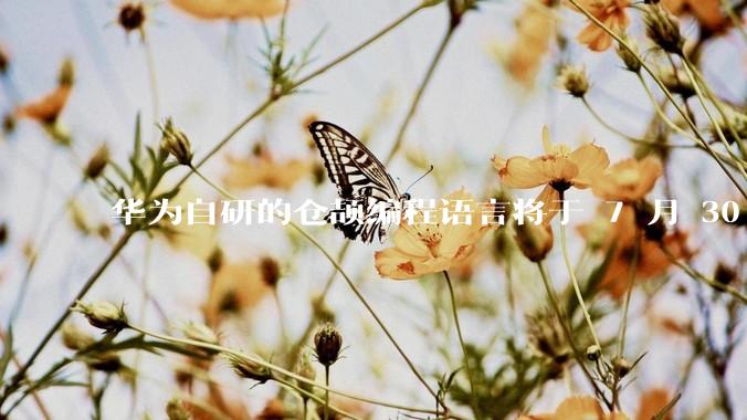 华为自研的仓颉编程语言将于 7 月 30 日开源，这款语言将如何影响未来的开发趋势？