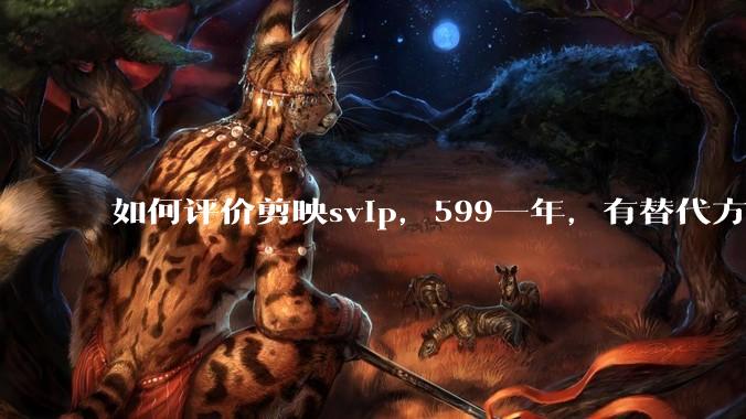 如何评价剪映svip，599一年，有替代方案吗？